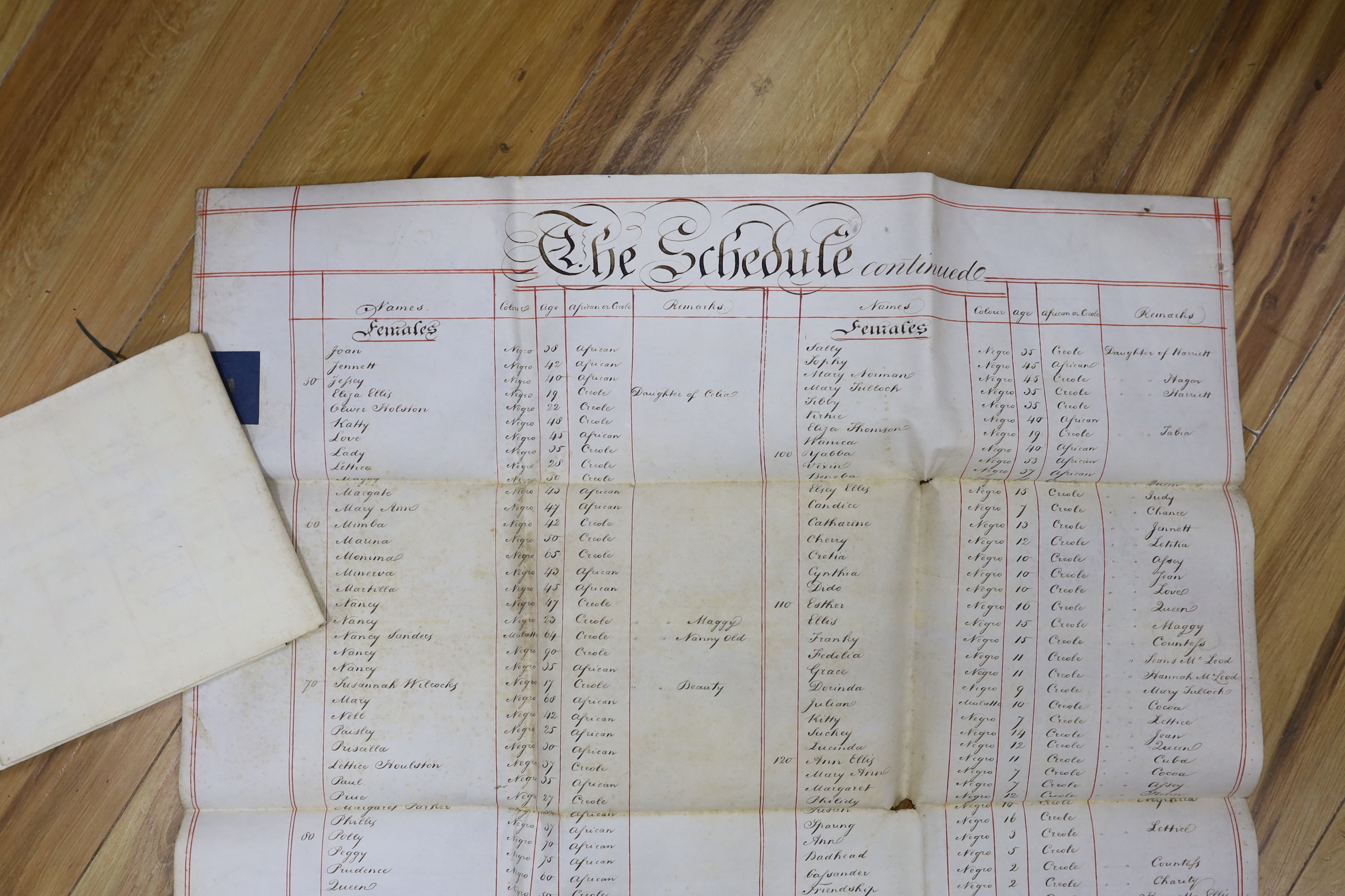 Two parchment membranes forming parts of schedules listing enslaved men, women and children, detached from a mortgage of the Green Castle Estate in the parish of St Mary, Jamaica, 8 April 1823